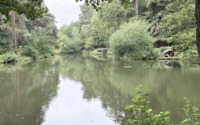First Time at Rushmoor Lakes in Surrey -19th August 2026